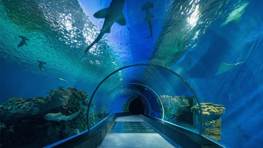 Dubai Aquarium