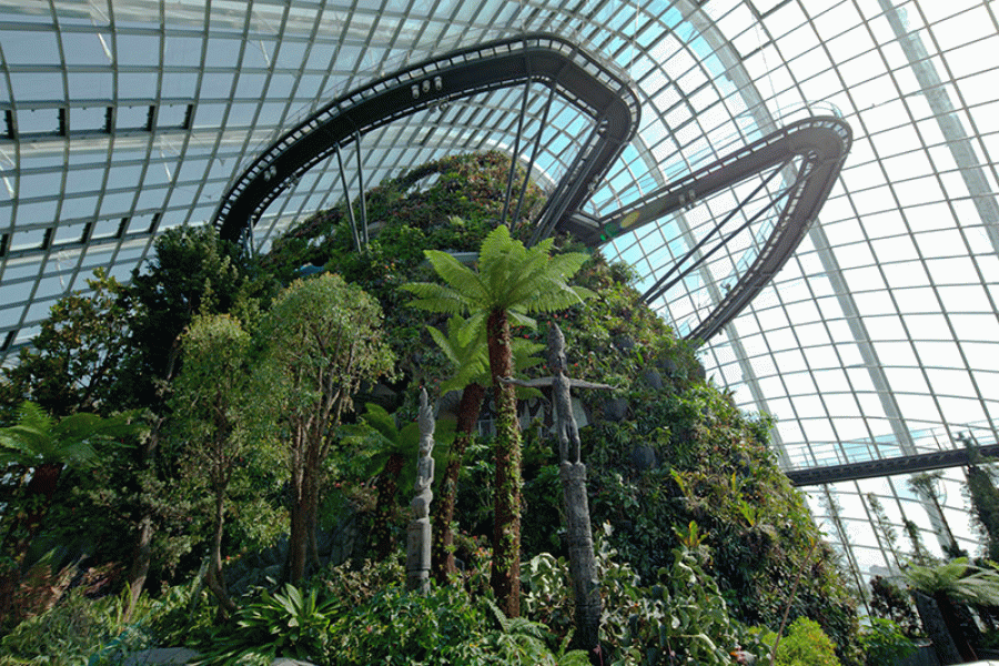 Gardens By The Bay