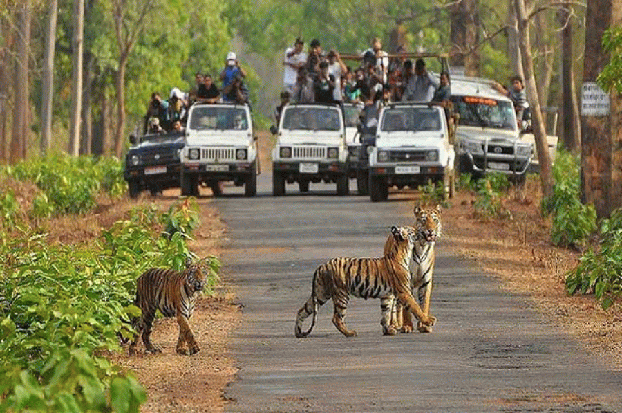 Ranthambhore National Park