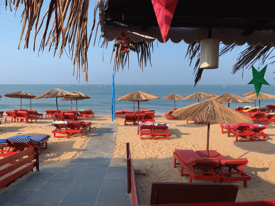 Candolim