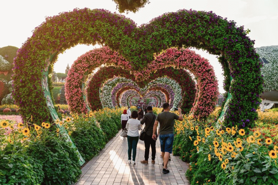 Dubai Miracle Garden