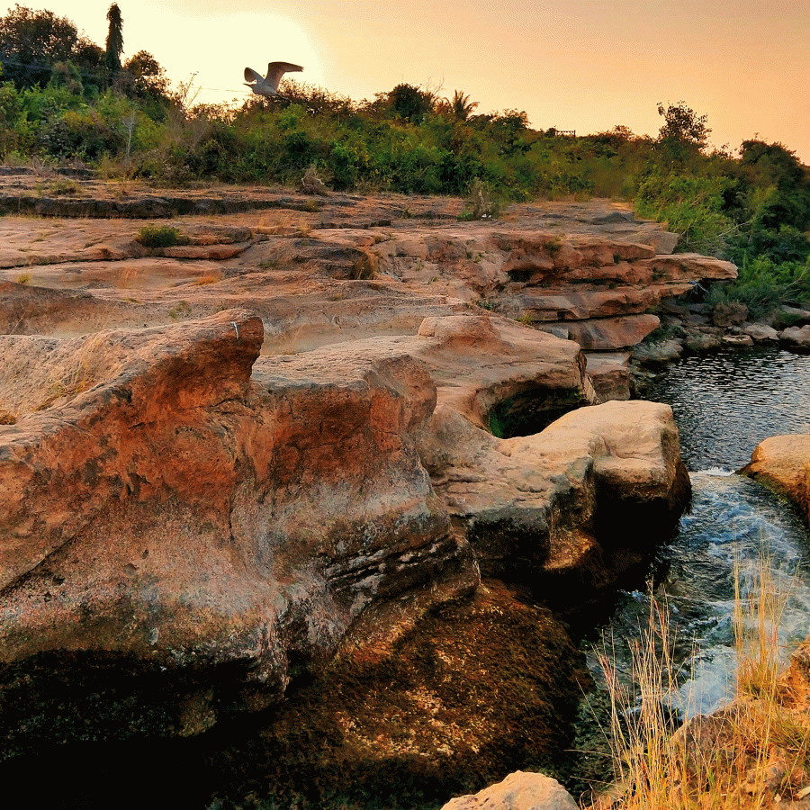 Gir Somnath