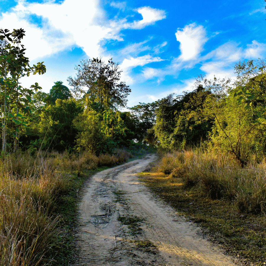 Dibrugarh