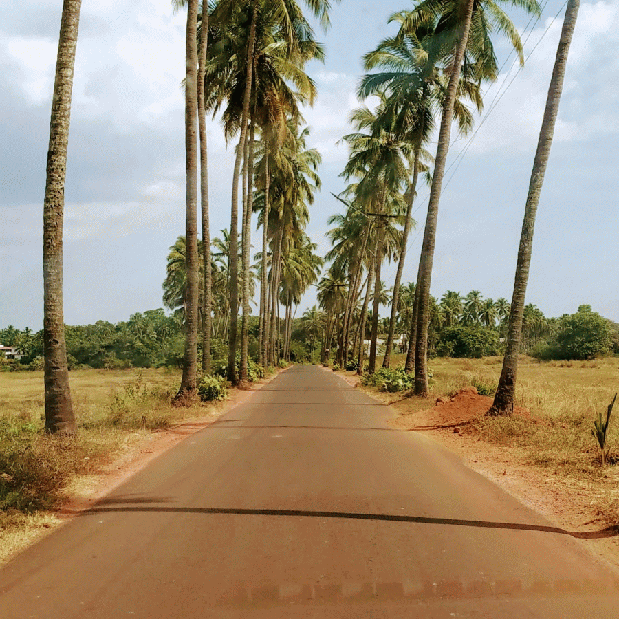 Anjuna